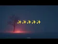 TRY HARSH NUSSI & SAIVI FAREED | LYRICS 
