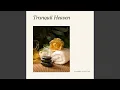 Spa Relaxation Music