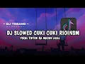 DJ CUKI CUKI SLOWED REVERB VIRAL TIKTOK RIONSM (Remix DJ TEBANG Plat AG)