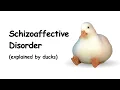 Schizoaffective Disorder in 80 seconds explained by ducks