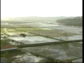 Download Lagu A Alma e a Gente - I #22 - O Drama de Pedro e Inês (de Castro) (Coimbra) - 19 Jul 2003