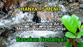 5 menit relaksasi suara gemericik air untuk terapi tidur dan terapi burung