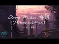 Si Nan 司南 - Dong Mian 冬眠 (Hibernation) Lyrics Pinyin/English Translation (動態歌詞)