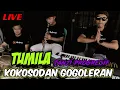 TUMILA naek KOKOSODAN GOGOLERAN || fily kurcaci Live Sessions