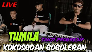 Download TUMILA naek KOKOSODAN GOGOLERAN || fily kurcaci Live Sessions MP3