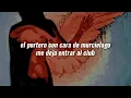 brutalismus 3000 ; romantika (sub. español)