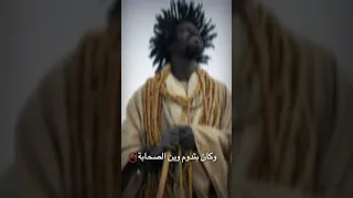 الدنيا سيبا 