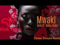 Download Lagu ZERB \u0026 Sofiya Nzau - MWAKI (Timmy Trumpet Remix)