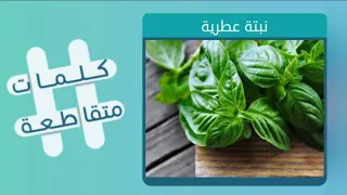 كلمات متقاطعة 181 المجموعة 21 أحداث صاخبة سرعان ما يزول أثرها زوبعة في جماعة سرية ظهرت في صقلية 