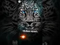Download Lagu mat poochh mere Naam ki pahchan kahan tak hai status