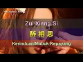 Download Lagu Zui Xiang Si - 醉相思 - 湯茜 Tang Qian (Kerinduan/Mabuk Kepayang)