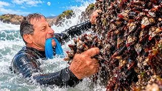 Los Percebes: el extraño marisco que cada vez es más difícil de encontrar
