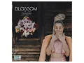 Tender Love ft  DJ Maphorisa & Kabza De Small (Official Audio) | ShaSha