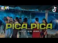 Download Lagu PICA PICA 2 - PARTY SENTAK -_Papa Adung_- REMIX 2025