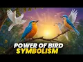 Bird Symbolism And It s Freedom Transformation and Divine Messages