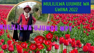 mulililwa sedama ujumbe wa gwina namba 3 audio 2022