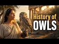 The History of the Owl From Athena s Sacred Bird to Witchcraft