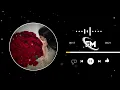 3ACH9EK IDMAN ♥️🌹| BILEL TACHINI | عشقك إدمان 