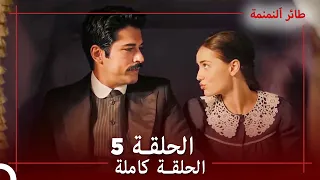 الحلقة 5 طائر النمنمة 
