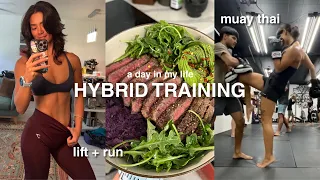 HYBRID TRAINING ROUTINE | lift + run, muay thai, free diving