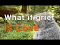 What if grief is love