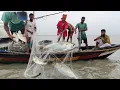 hilsa Fish Catching 2023 Bangladesh Big ilish Fish Hunting