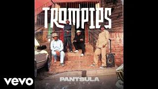 trompies ufunukwenzani official audio ft reece madlisa bhudescar kabza de small dr lamondro
