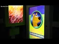 Escapology Myrtle Beach features Scooby Doo escape rooms