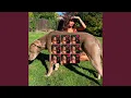 Download Lagu De Zuivering: Alleen de zachtaardigen zullen overleven