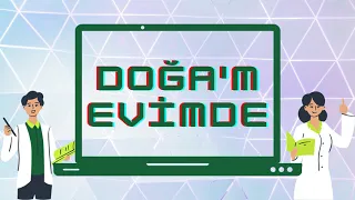 Doğa koleji öğretmenleri maaş alamıyor. 