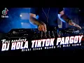 Lagu Dj Hola Pargoy - Riski Irvan Nanda Ft Riki Vams 69 Project