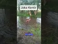 Download Lagu Tik tok(Jaka Tingkir)