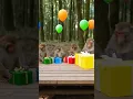 Monkey Gift Opening Explosion: Paper Everywhere!#shorts #animals #Cat #monkey