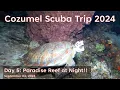 Download Lagu Cozumel Scuba Trip 2024 Day 5: Night Dive at Paradise Reef