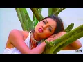 Download Lagu Tujhe Pyar Itna Kiye Ja Raha Hon | Heera Jhankar | Insaaf 2004 | Anuradha Paudwal, Sonu Nigam