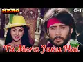 Download Lagu Tu Mera Jaanu Hai Tu Mera Dilbar Hai | Anuradha Paudwal | Manhar Udhas | Hero | 80's Hindi Songs