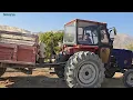 Taybeh Farm Transfer: What is Soraya's sister-in-law's new plan?