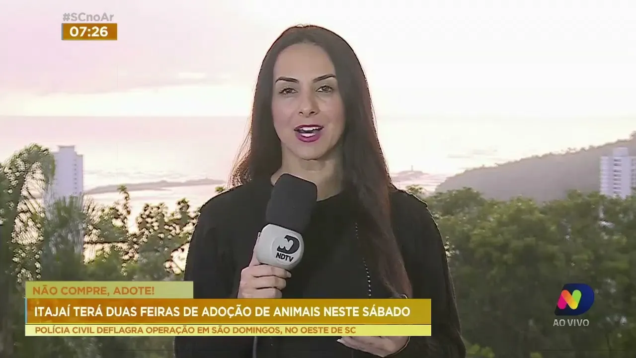 Duas feiras de adoção de animais acontecem neste sábado, em Itajaí
