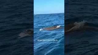 Atlantic Crossing DAY 5 #sailing #atlanticcrossing // read our crossing diary on Patreon! ❤️