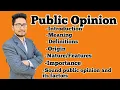 what is Public Opinion its meaning Definitions origin features importance factors etc
