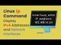 Bash script to display IP addresses of network interfaces with ip command