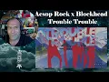 Aesop Rock x Blockhead - Trouble Trouble - Rant with Rollen (First Listen)