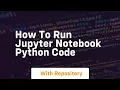 how to run jupyter notebook python code