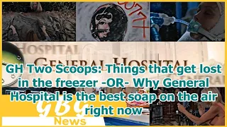 GH Two Scoops Things that get lost in the freezer - OR