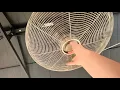 Lowes Ceiling Fans POWERED in a Patio Display
