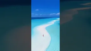 ماجدة الرومي موسيقى اغنية كلمات 