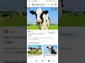 What Animal am I Song