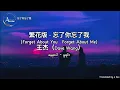 [4K] 忘了你忘了我 (Forget About You   Forget About Me) 繁花版 - Wang Le Ni Wang Le Wo --王杰（Dave Wang ) Lyrics