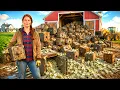 She Filled Her Barnyard With 700 Rusted Safes Inside The Hoard Was A 500 000 Fortune