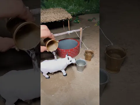 miniature cow bathing on water well || rural project